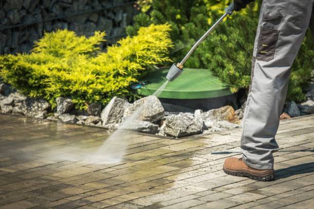 Best Animal Enclosure Cleaning  in Third Lake, IL