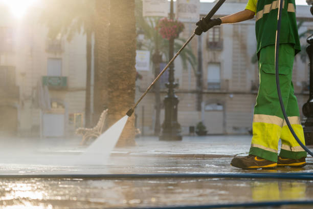Best Solar Panel Cleaning  in Third Lake, IL